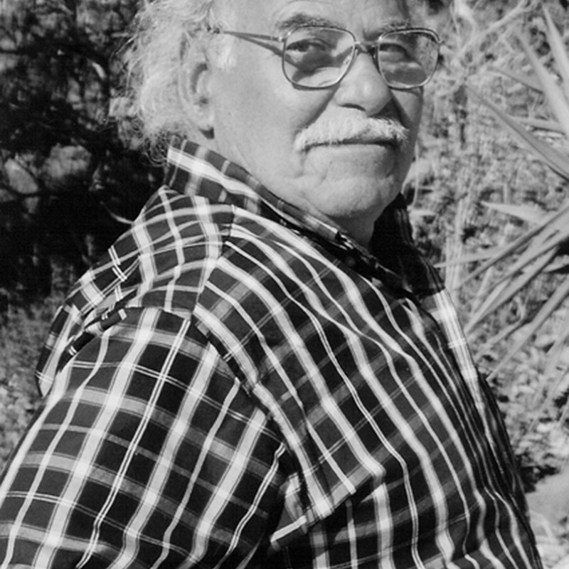 Manuel Gamboa