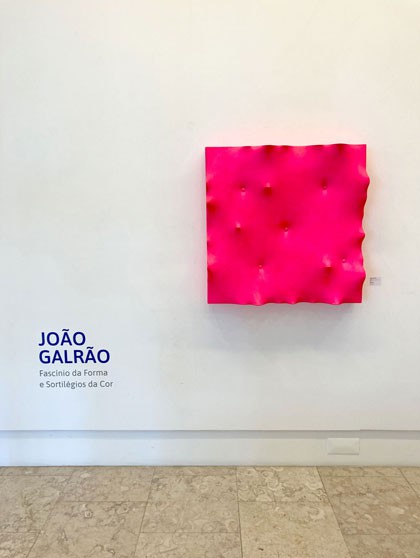 Fascinaciones por la forma y hechizos de color