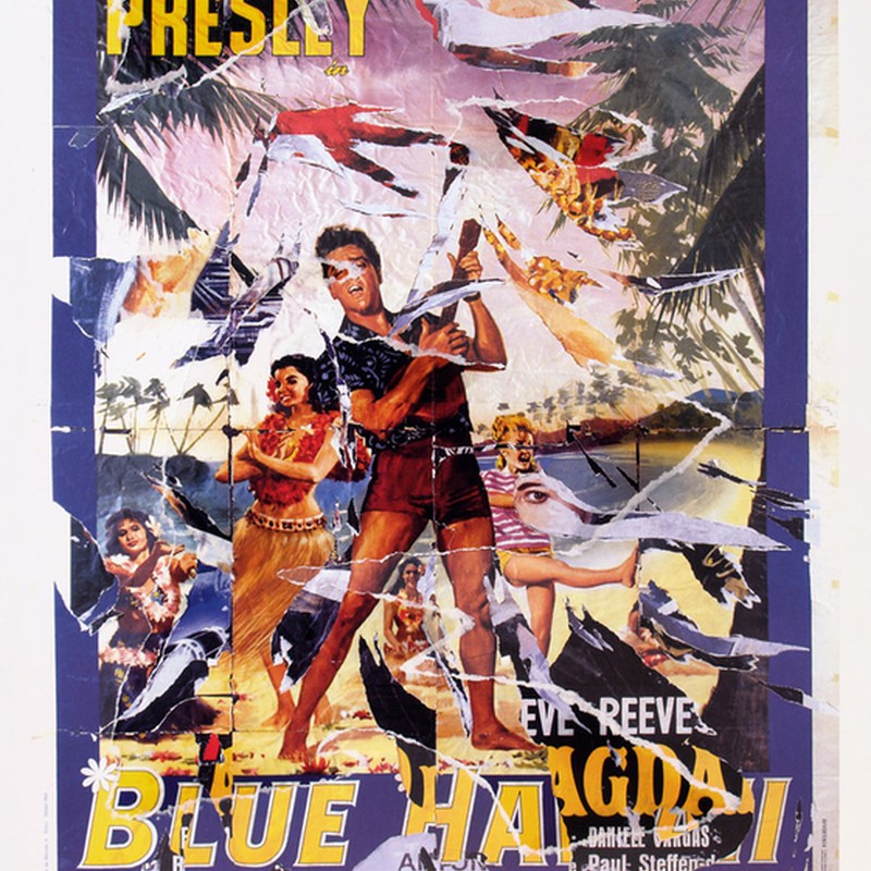 Blue Hawai
