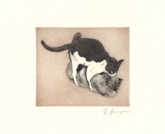 Os Gatos