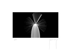 Inner Light I