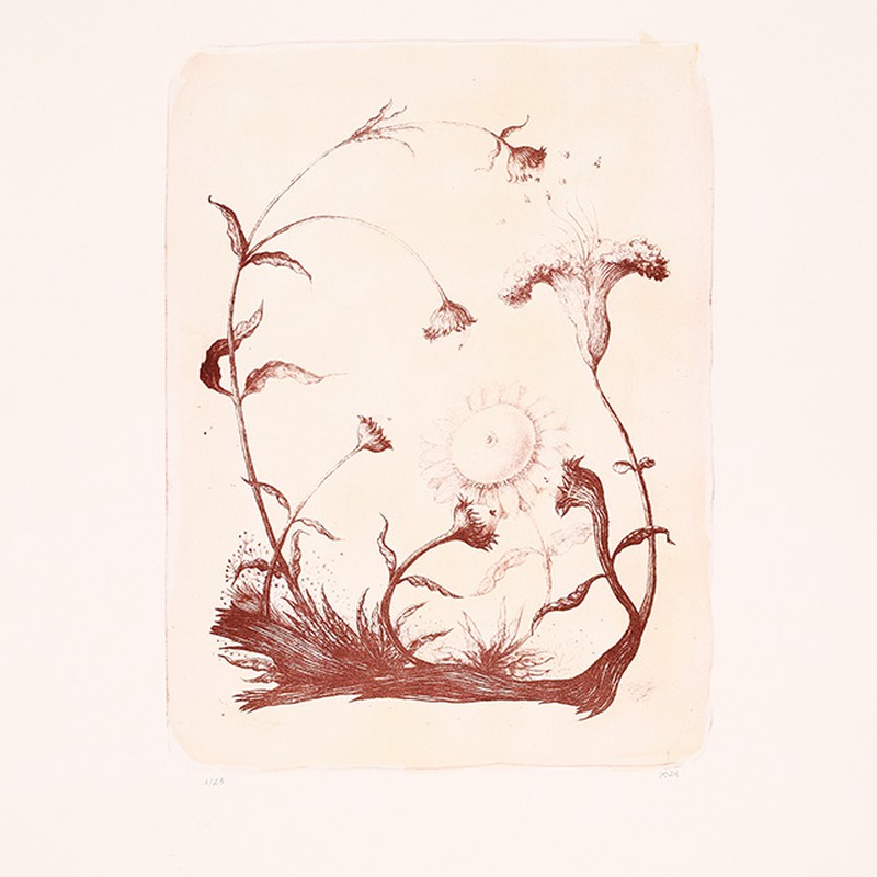 Flores
