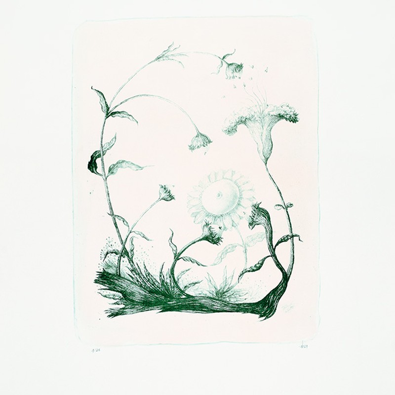 Flores