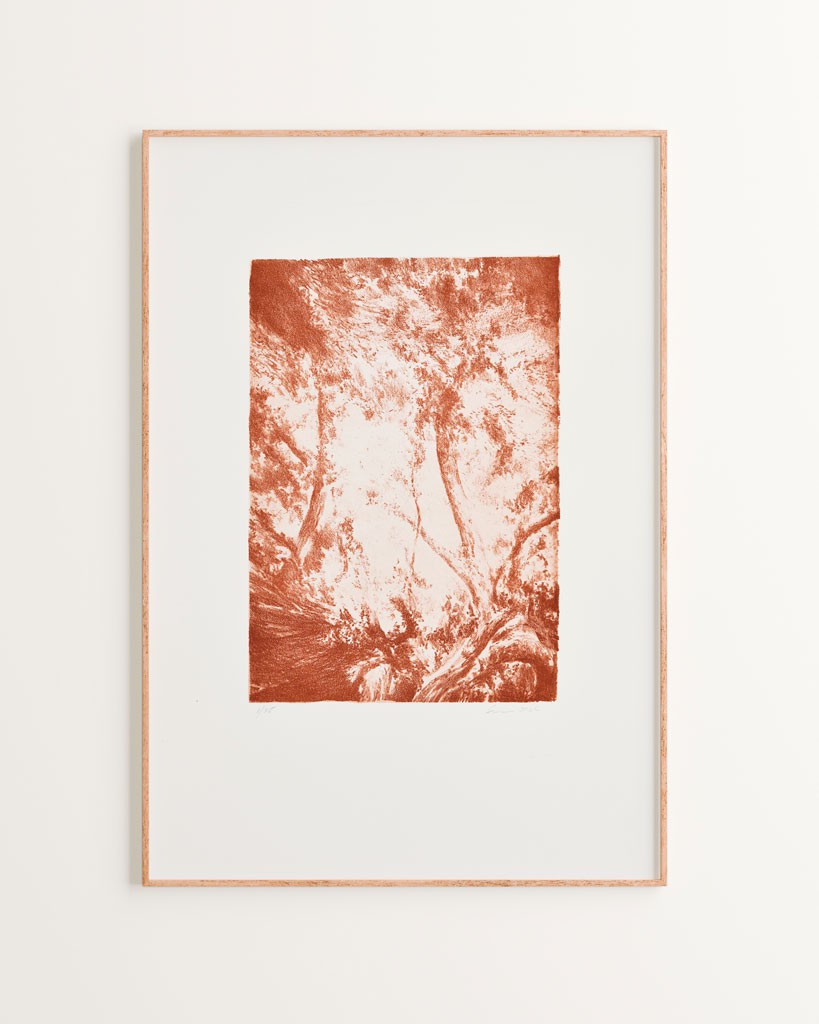 Série "This is not"