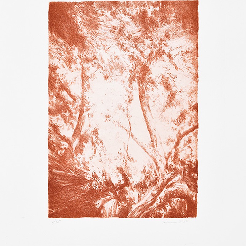 Série "This is not"