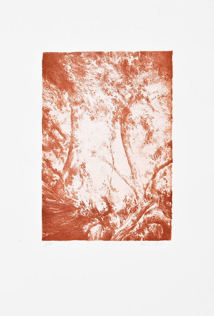 Série "This is not"