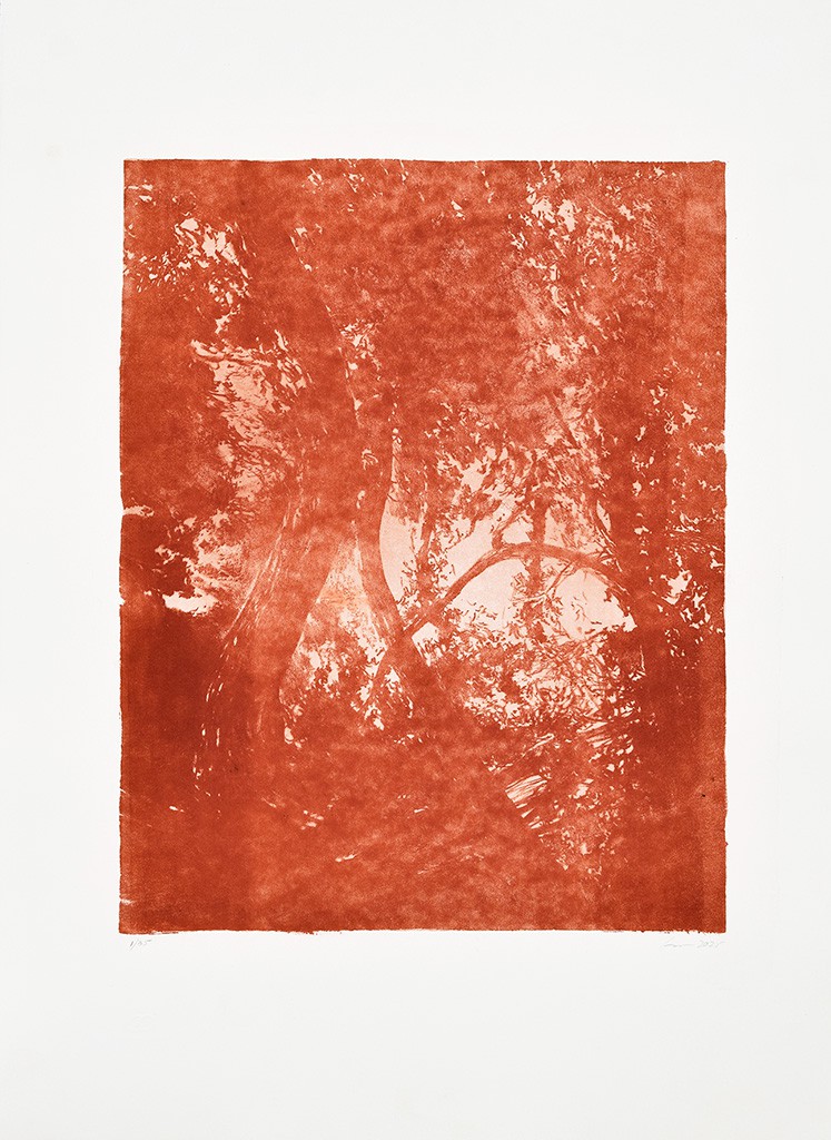 Série "This is not"