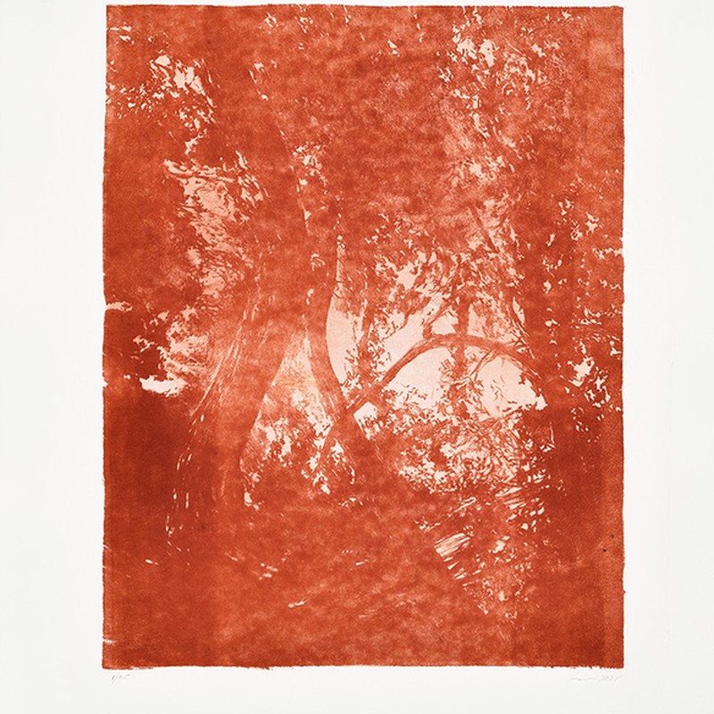 Série "This is not"