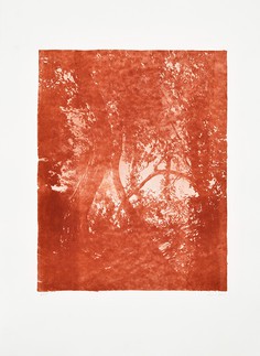 Série "This is not"