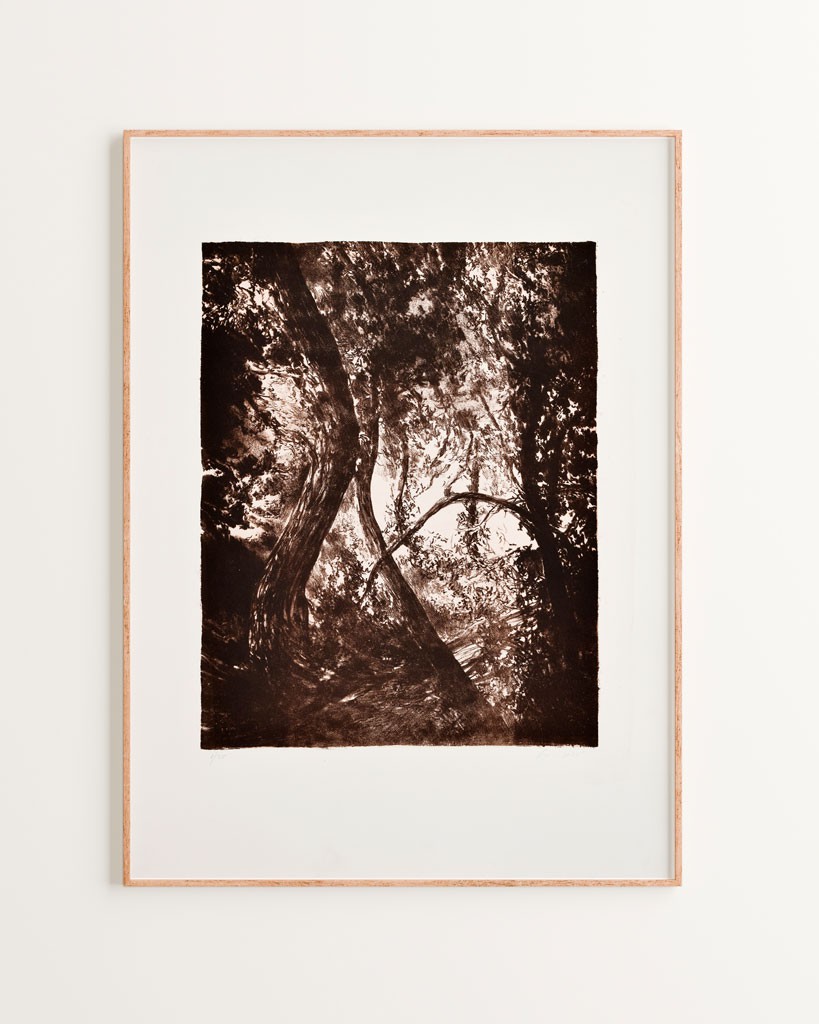 Série "This is not"