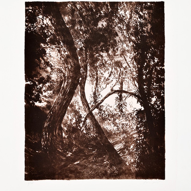 Série "This is not"