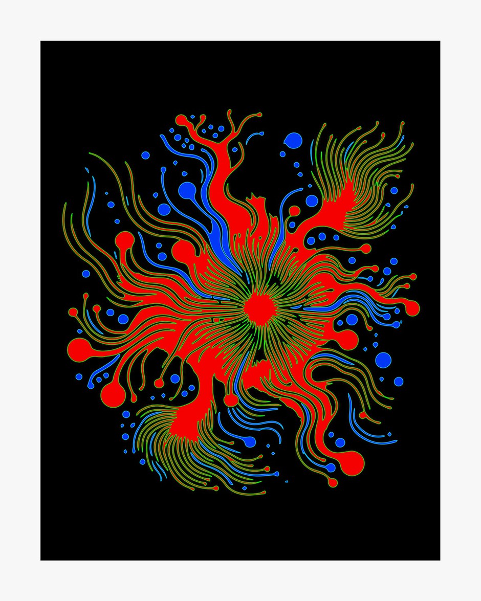 Splash 4