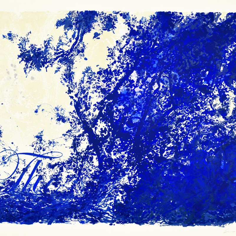 Série "This is not"