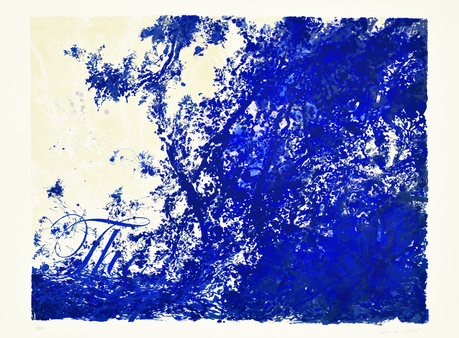 Série "This is not"