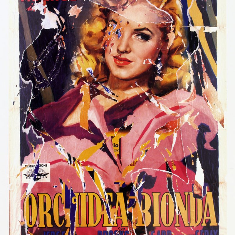 Orchidea Bionda