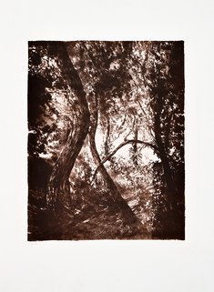 S/ Título (Série This is not)