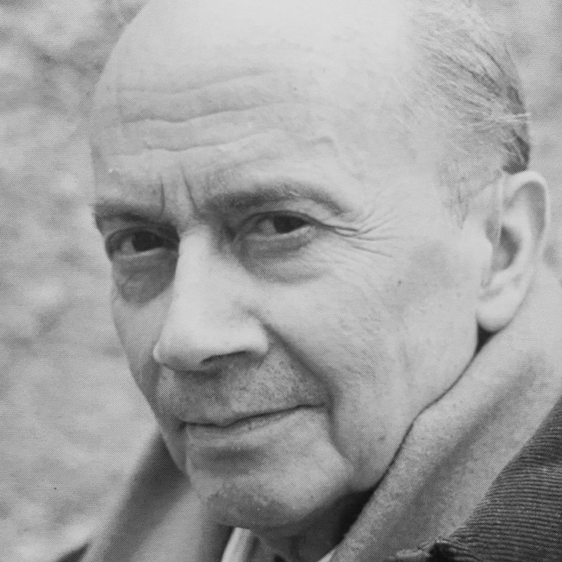 Manuel Viana
