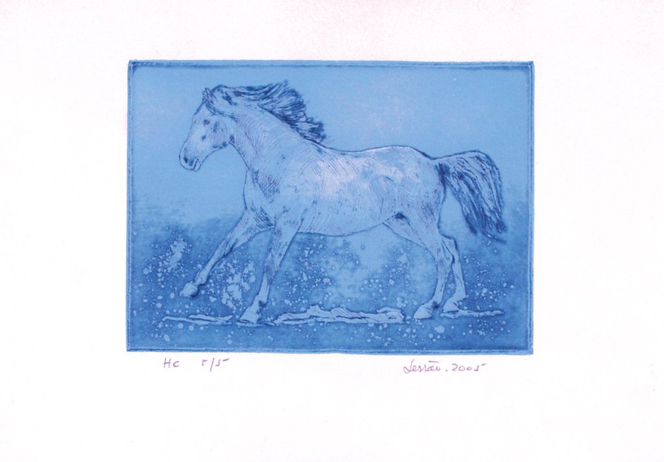 Cavalos em Movimento