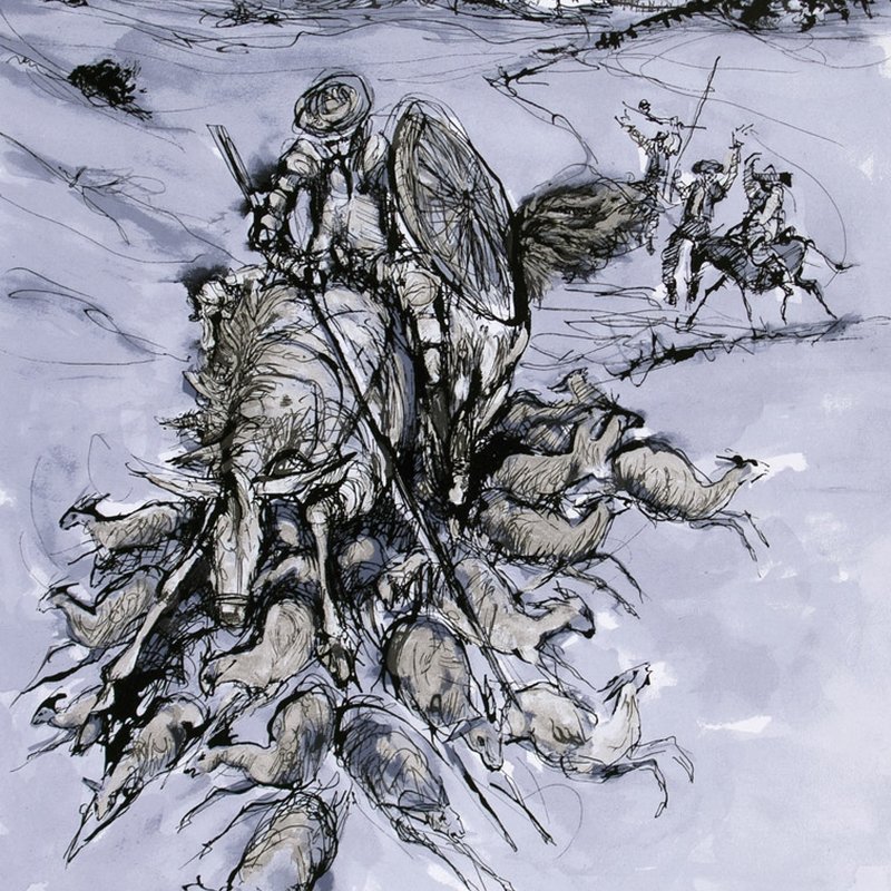 D .Quixote