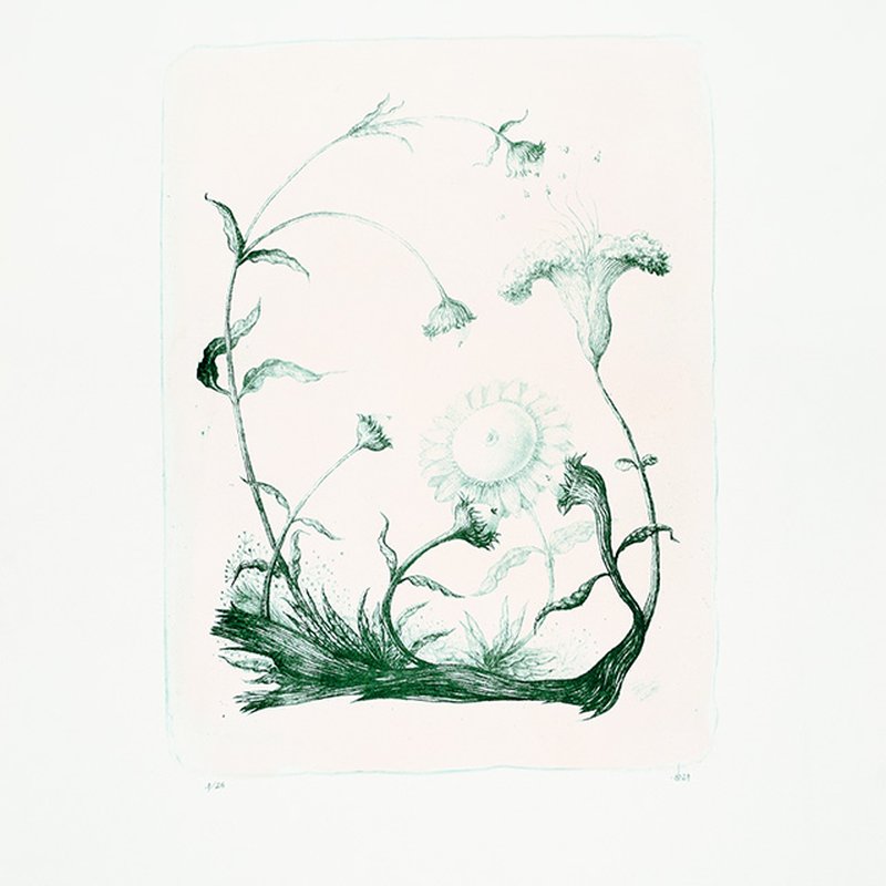 Flores