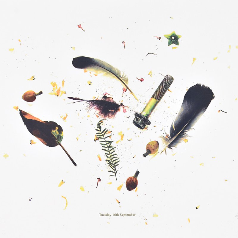Scatter
