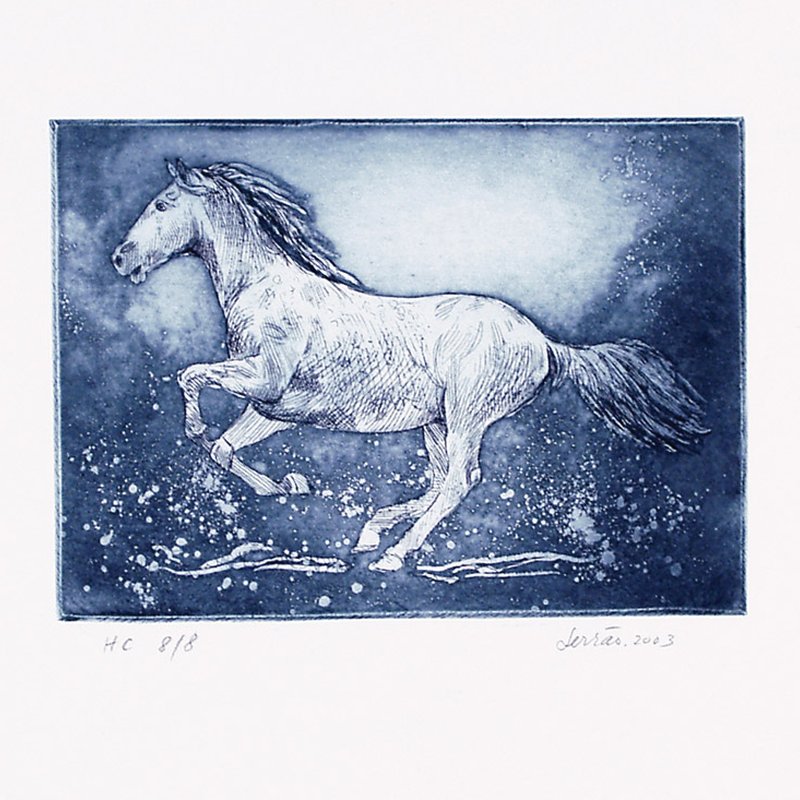 Cavalos em Movimento