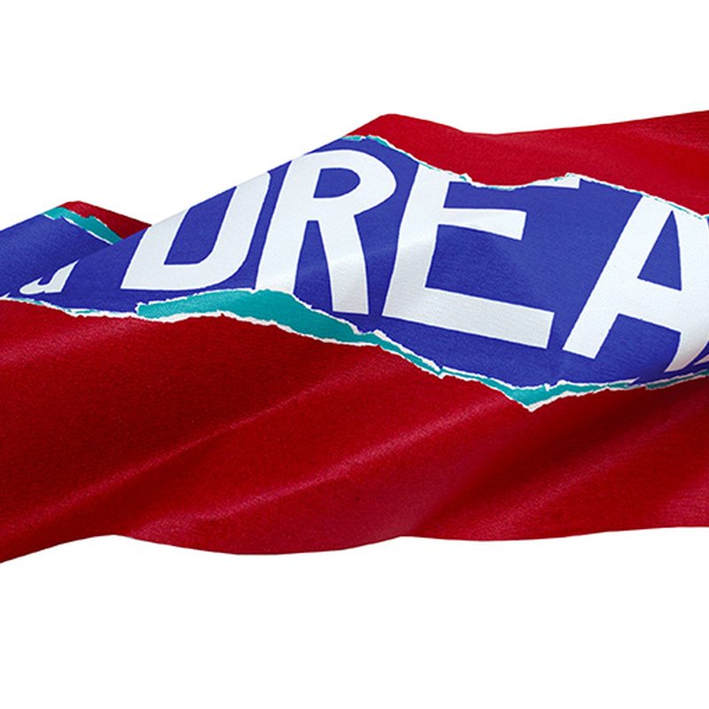 Flying Dreams