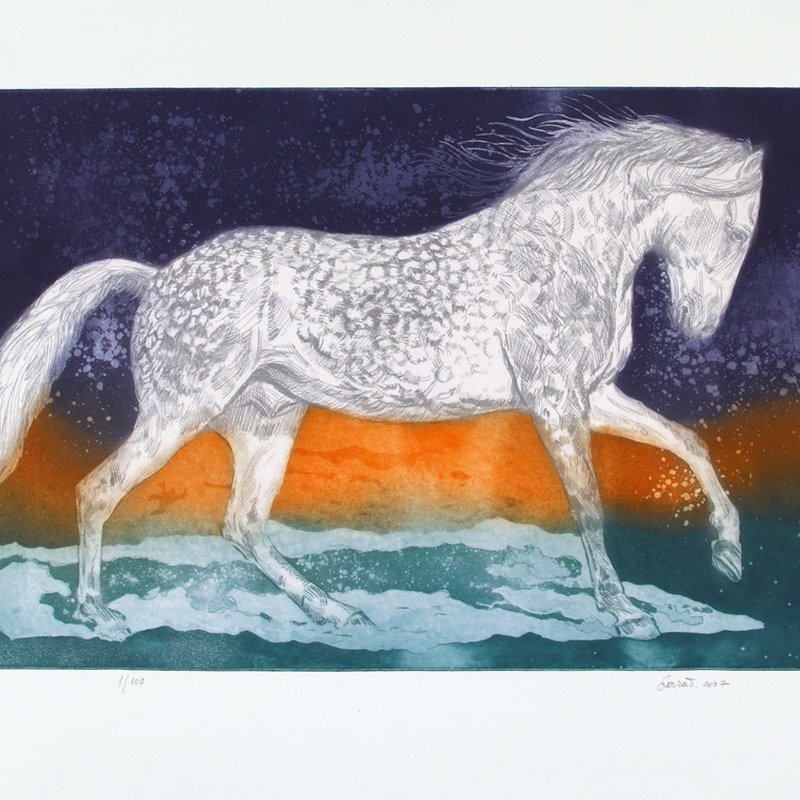 Cavalo