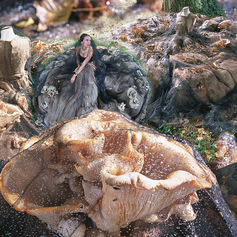 Mushroom dress,1999