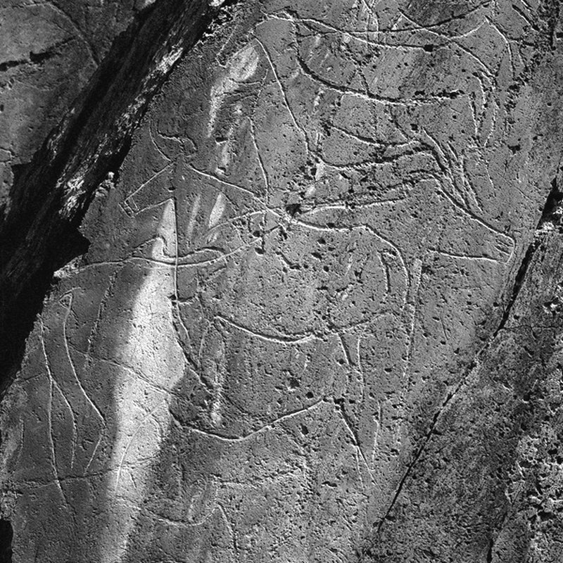 A Arte como Linguagem da Humanidade